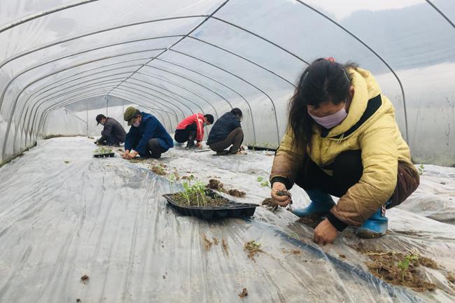 全球疫情最新数据，挑战与希望并存的全球抗疫图景