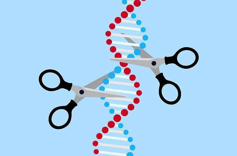 2021疫情，科学预测与希望之光下的未来展望