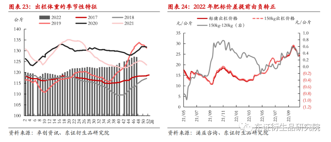 疫情下的曙光，2023年解封之路的回顾与展望