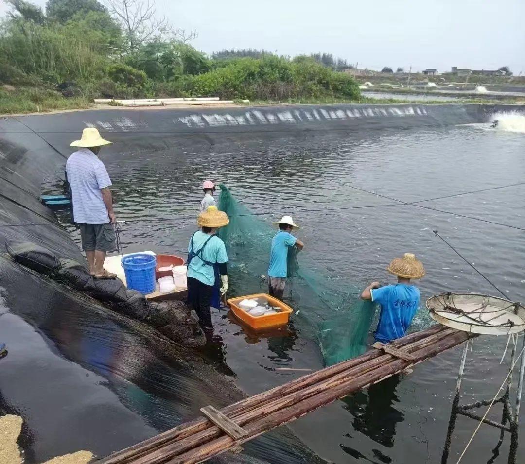 中国疫情什么时候开始出现的，中国疫情什么时候开始出现的呢